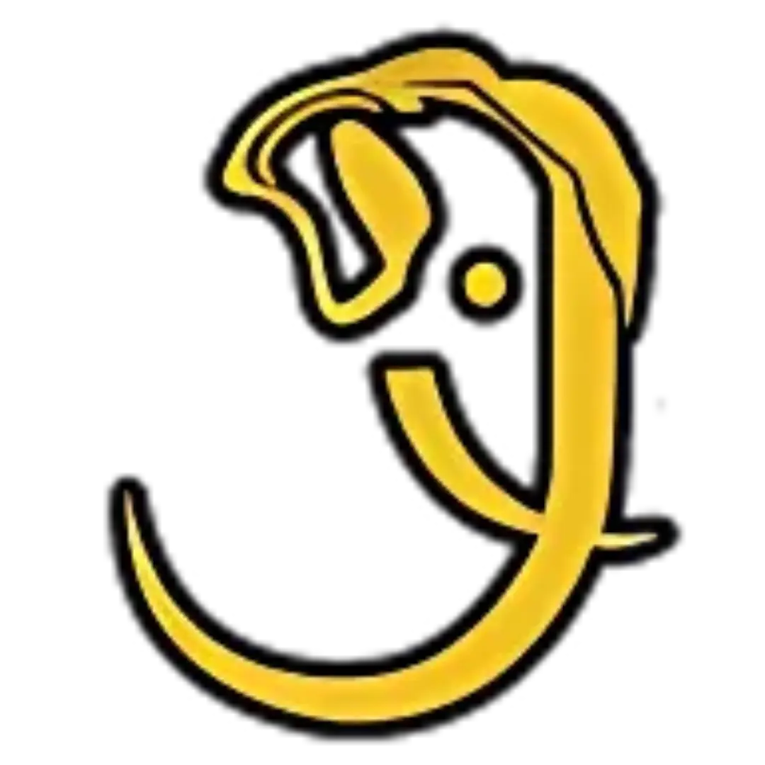 logo icon